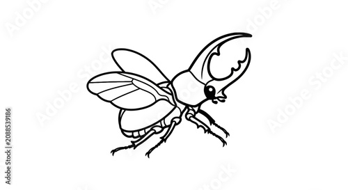 Φωτογραφία Black and White Line Art of a Flying Stag Beetle