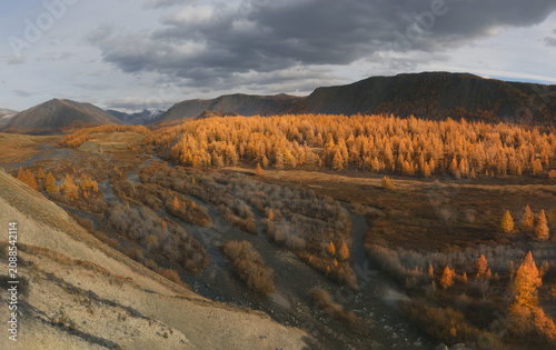 Golden yellow autumn trees clover valley hills below majestic mountains with winding river view.