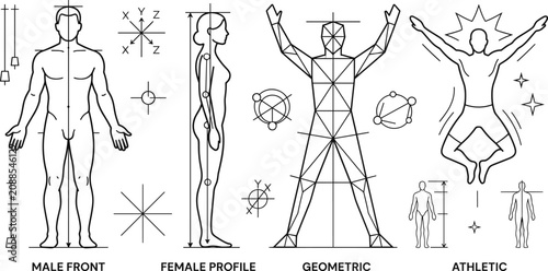Cuadro en lienzo Human Body Proportions Vector Set with Male Front Female Profile and Geometric A