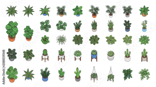 Top View Colored Indoor Plants And Planters Architectural Plan Vector Icons