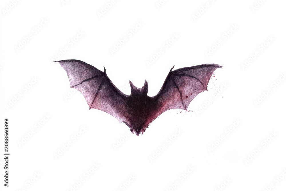 Fototapeta premium Watercolor Illustration of Bat on White Background