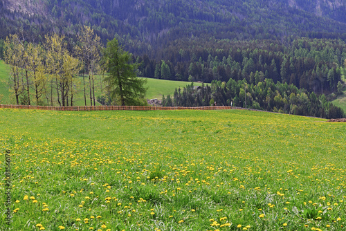 Santa Maddalena Val di Funes South Tyrol Italy