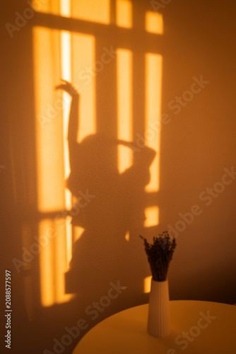 Warm golden sunlight casts abstract shadow of a young woman on wall near vase with dried flowers, cozy home aesthetic and evening light