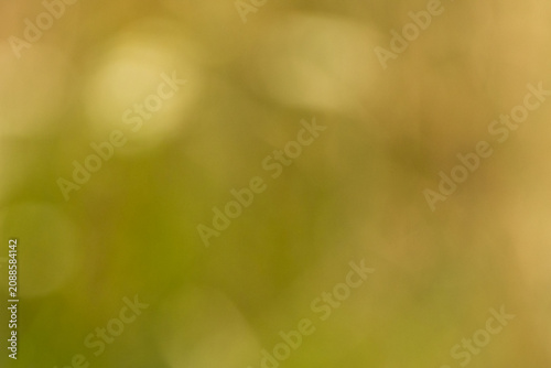 Foto Softly blurred background featuring shades of green and yellow, creating an abst