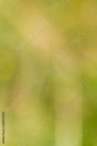 Soft blurred background with shades of green and yellow, creating an abstract natural scene ideal for design and artistic applications