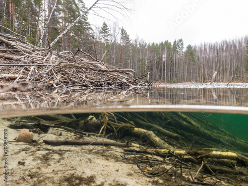 Obraz na płótnie Beaver's lodge