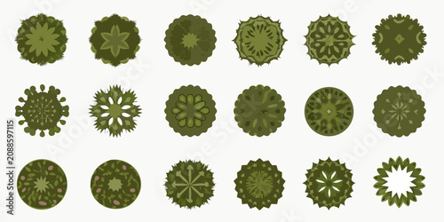Fotografía Trees From Above Vector Illustration With Green Foliage