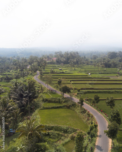 Aerial View of Lush Rice Terraces and Winding Country Road in Bali, Indonesia