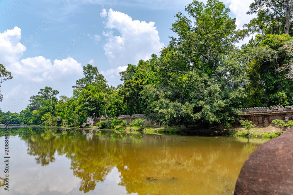 Fototapeta premium Tropical Pond Surrounded by Lush Forest in Cambodia