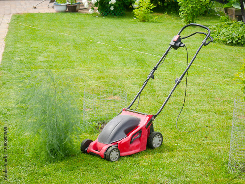 Electric lawn mower standing on green grass in backyard. Equipment for grass cutting and lawn maintenance. Gardener tool for landscaping and garden yard work during summer season.