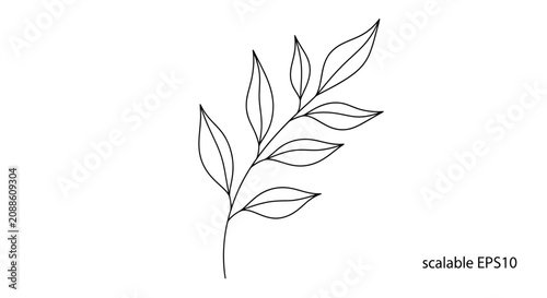 Minimalist botanical line art, delicate branch with leaves, simple elegant design