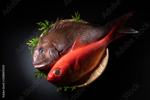 Foto 鯛　金目鯛