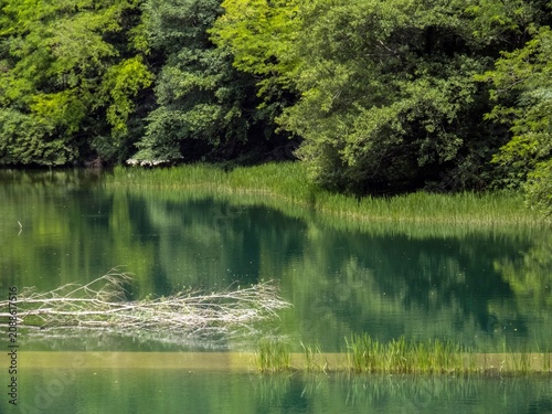 Tableau sur toile river soca