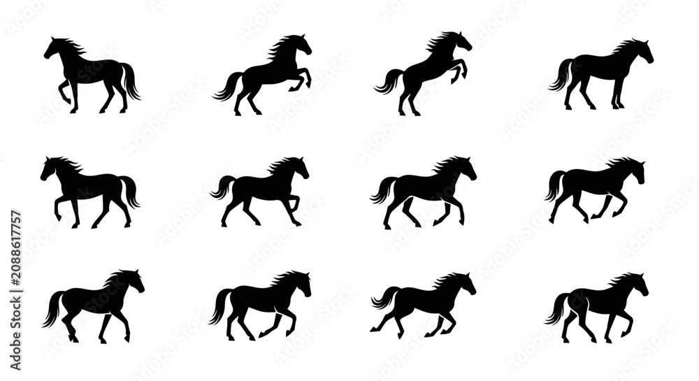 Obraz premium Several horses are running in a horizontal line on a white background