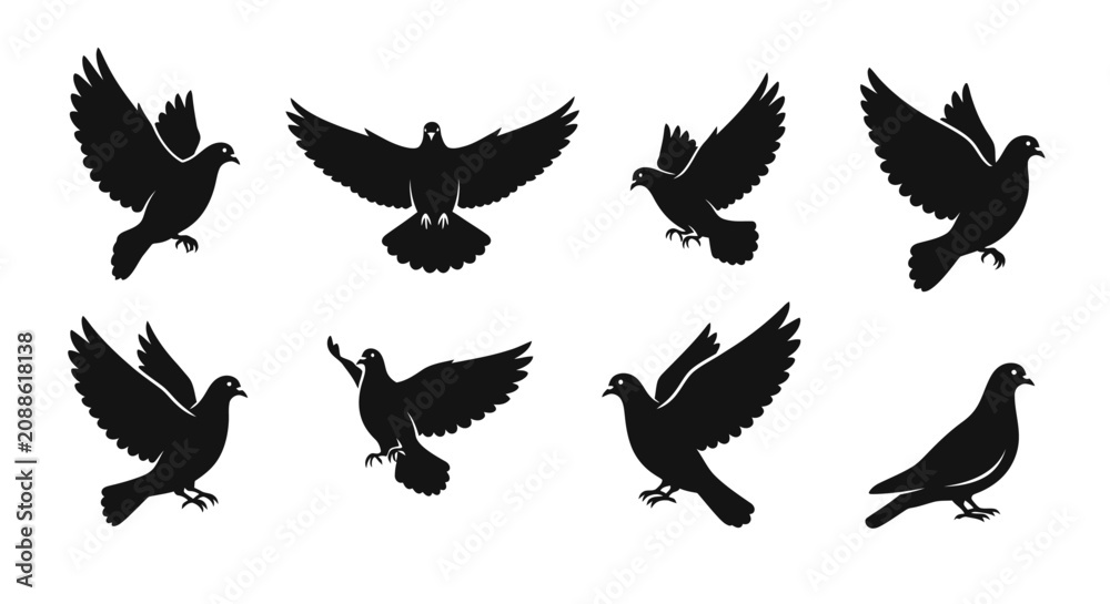 Fototapeta premium Silhouettes of pigeons in flight and standing, showcasing various poses and wing positions.