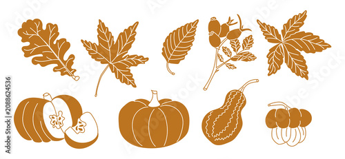 Autumn-themed illustration featuring various leaves, pumpkins, and gourds in warm orange tones, ideal for seasonal decorations and harvest-themed designs