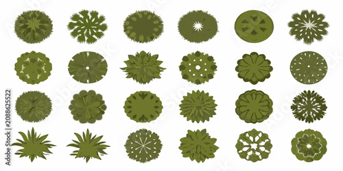 Cuadro en lienzo Collection Of Top Down View Trees Vector Illustration