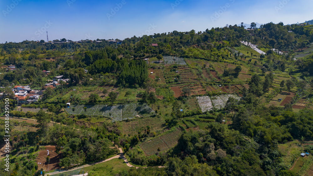 Fototapeta premium Agricultural Hillside Landscape in Bandung, Indonesia