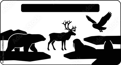Photography wild animals silhouettes