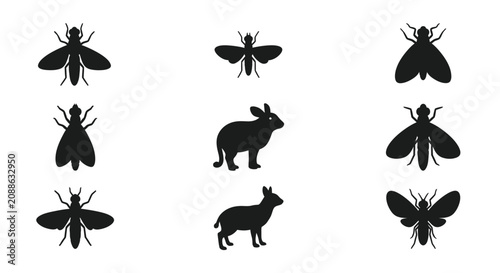 Insects and animals silhouettes against a plain background