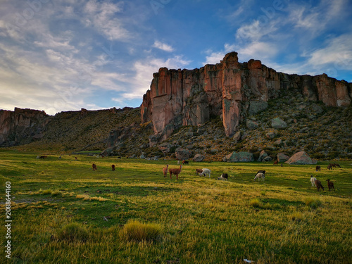 Majestic South American landscape featuring serene llamas grazing in a lush green valley, framed by dramatic rock formations under a vibrant, expansive sky, evoking tranquil natural beauty