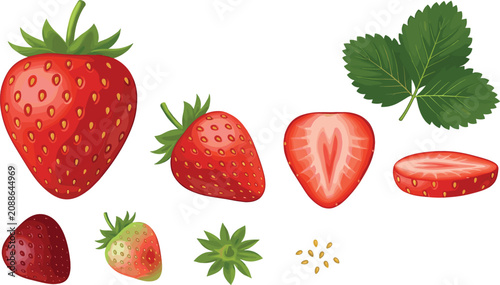 Fotografie Fresh Strawberry Vector Illustration Set with Whole Berries Halves Slices Leaves