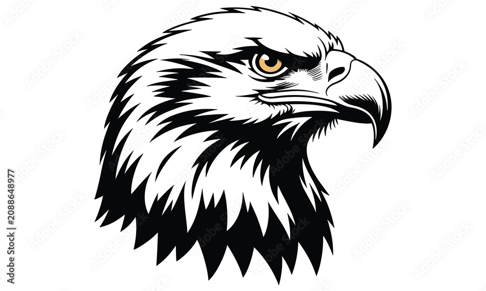 Fototapeta premium Fierce bald eagle head illustration featuring bold black and white lines with a sharp golden eye against a white background