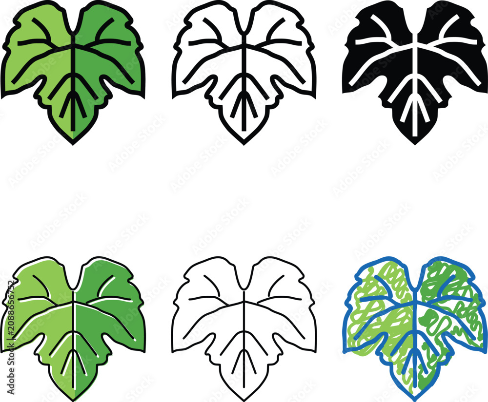 Obraz premium green leaf grape color icon vector. green leaf styleset grape sign. isolated symbol