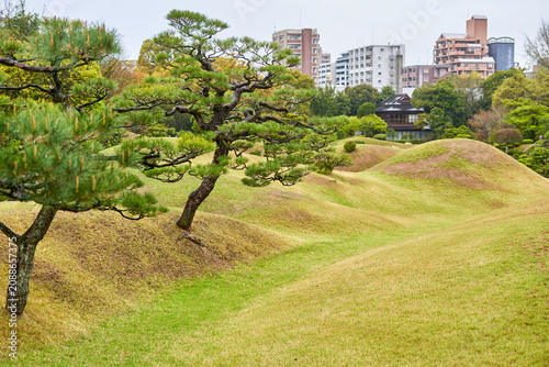 A traditional Japanese garden landscape featuring meticulously pruned pine trees with gnarled trunks and spreading branches in the foreground. The terrain consists of rolling, sculptured grassy