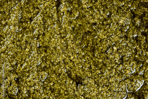 Close-up texture of fresh green pesto sauce with olive oil