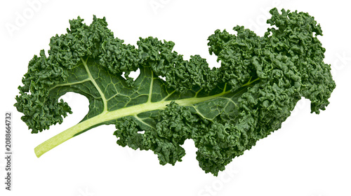 Tablou pe pânză Single curly green kale leaf with prominent veins, isolated on transparent backg