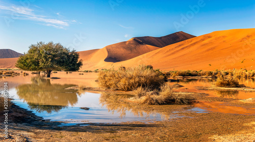 Foto Sossusvlei
