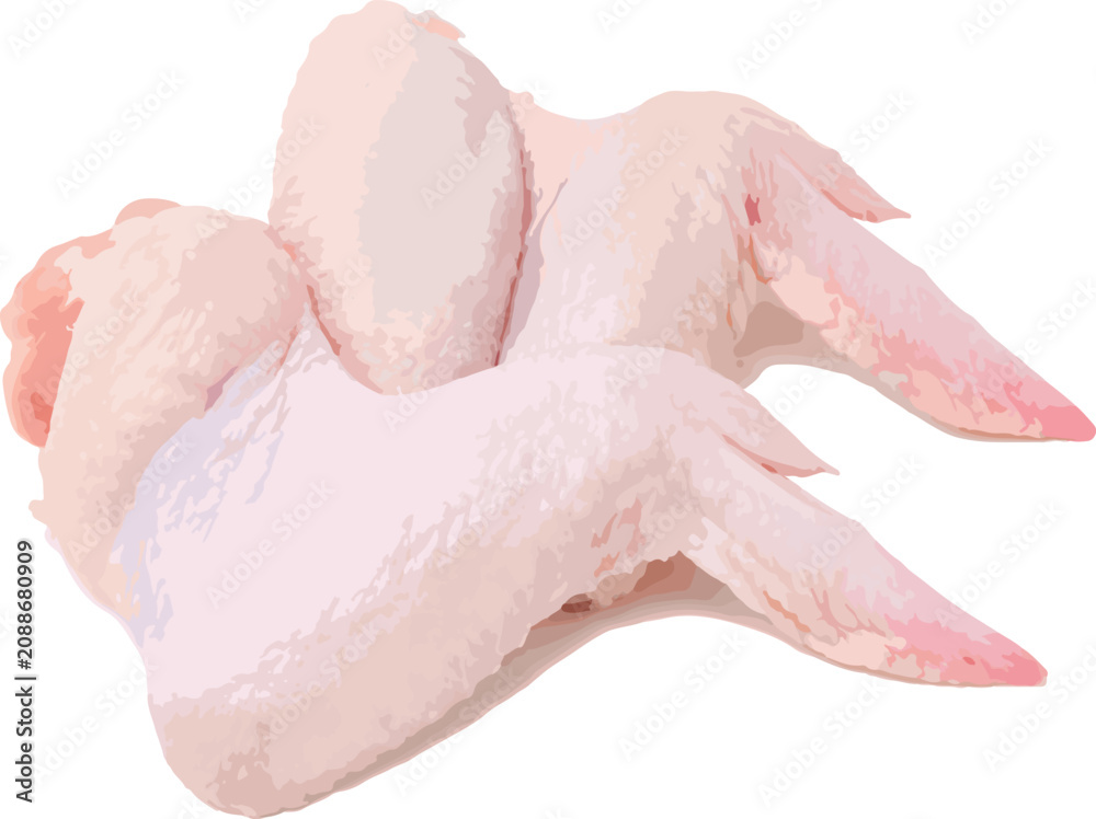 Fototapeta premium Raw Chicken Wings Isolated on White Background