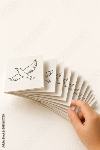 Hand fanning a flipbook of paper cards showing a bird illustration shrinking in perspective, creating an optical animation effect.