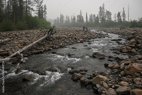 Mountain stream on a cloudy summer day.