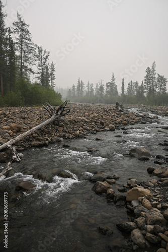 Mountain stream on a cloudy summer day.
