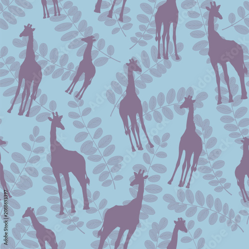 Canvas Print Seamless pattern with giraffes and acacia leaves on a light blue background