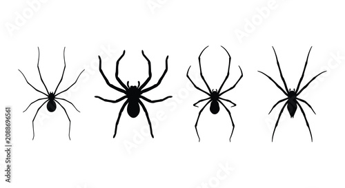 Konstfotografi Four black spider silhouettes against a white background a minimalist arthropod
