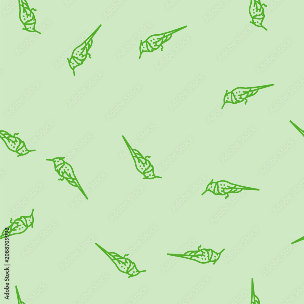 Fototapeta premium horned sungem bird exotic vector line seamless pattern horned sungem bird exotic sign illustration