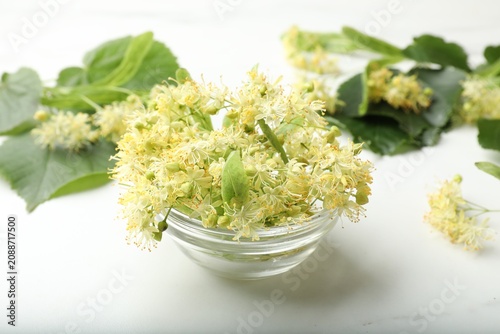 Linden tree blossoms in bowl on white table, closeup