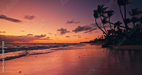Caribbean Sunrise Landscape of Sea shore and exotic island beach with palm trees and rocks