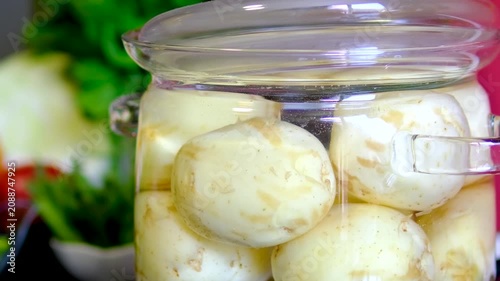 to cook new potatoes. Freshly harvested Swedish new potatoes steaming in a cooking pot , traditional Nordic seasonal food and summer harvest concept 