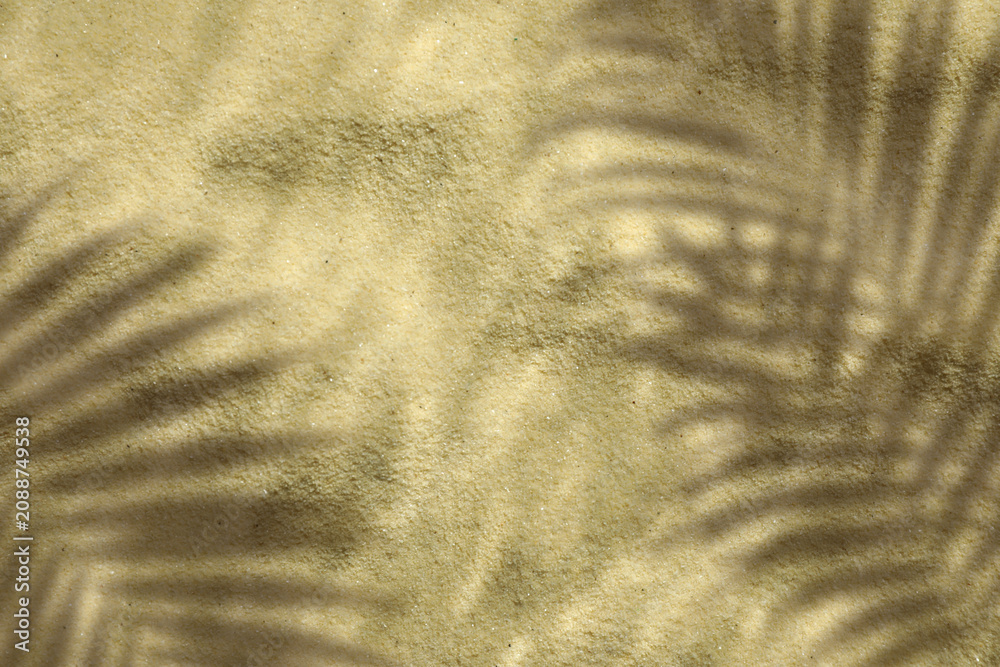 Obraz premium Shadow of palm leaves on clear shallow water and sand. Summertime