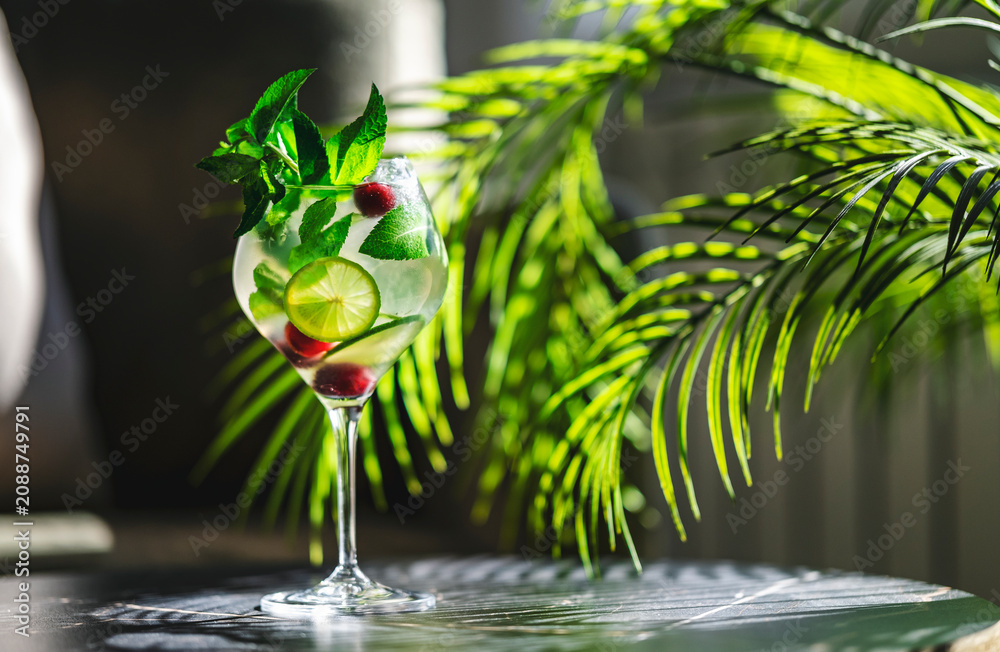 Obraz premium Royal mojito alcoholic cocktail drink with rum and prosecco. Tropical summer bar concept with exotic palm leaf shadows.
