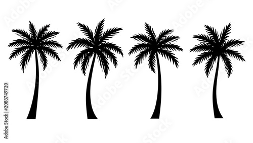 Four black silhouette palm trees standing in a row on a white background