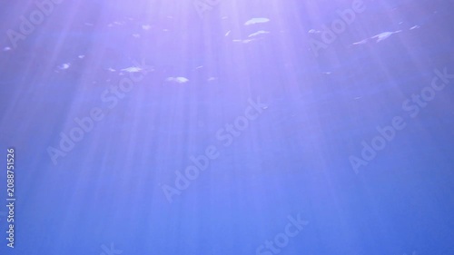 Deep blue ocean waves from underwater background, light rays shining through. Underwater Sun Rays in Ocean. Sunlight rays shining through ocean surface. View from underwater. seamless loop animation.