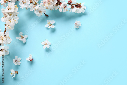 Beautiful blooming tree bra...