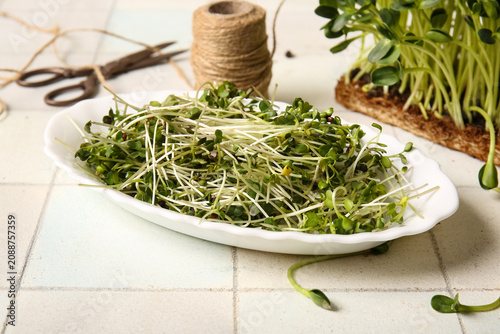 Plate with fresh micro gree...