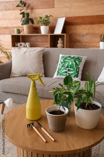 Plants with gardening tools...