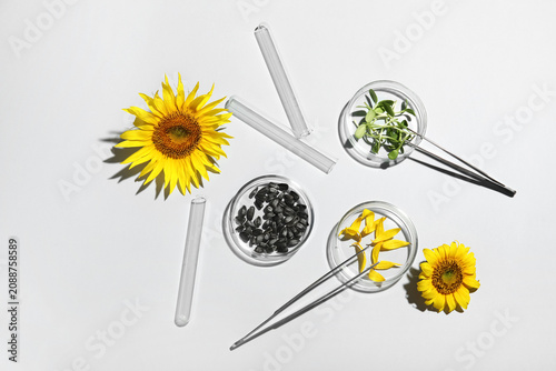 Laboratory tools with sunflowers, seeds and sprouts on white background